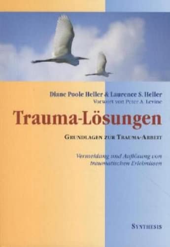 Trauma- Lösungen: Vermeidung und Auflösung von traumatischen Erlebnissen