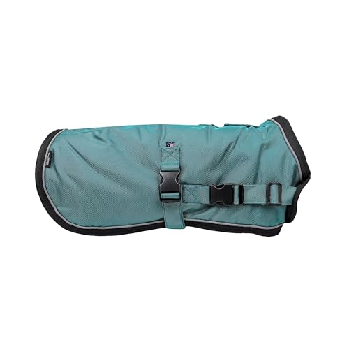 dog winter coats