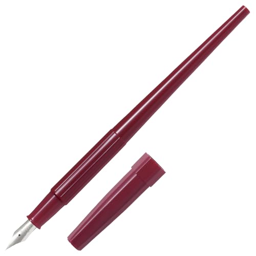 Amazon.co.jp: PILOT Fountain Pen, Desk Pen, EF (Ultra Fine), Red