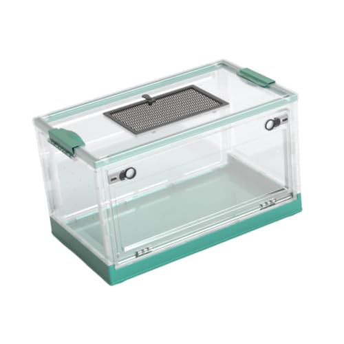 STARTIST ܂肽ݎ঒ރeE^NyʃbVgbvplJfXNgbvybgGN[W[, Blue L