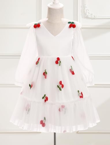 Toddler Girl Birthday Dress Floral Confetti Birthday Princess Dress Ruffle Sleeve Boho Cake Smash Photo Shoot Outfit3