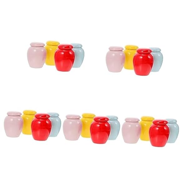 PATKAW 5 Stuks Urn Opslag Potten Met Deksels Huisdier Ornament Container Menselijk Container Met Deksel Kat Herdenkingskist Hond Asbak Dier Astank Keramiek Miniatuur Moeder Papegaai