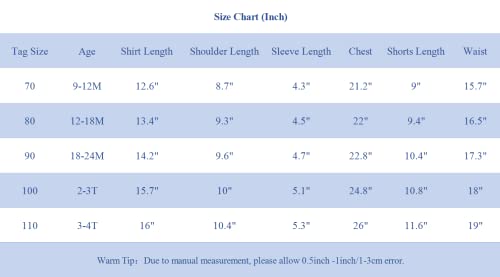Image of Baby Boy Formal Short Set Toddler Summer Gentleman Outfit Kid Short Sleeve Bowtie Shirt Suspender Shorts Suit
