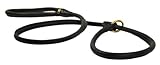Dean and Tyler 2-in-1 DT Rolled Slip Leash, Black 6-Feet by 1/4-Inch Diameter With Solid Brass...