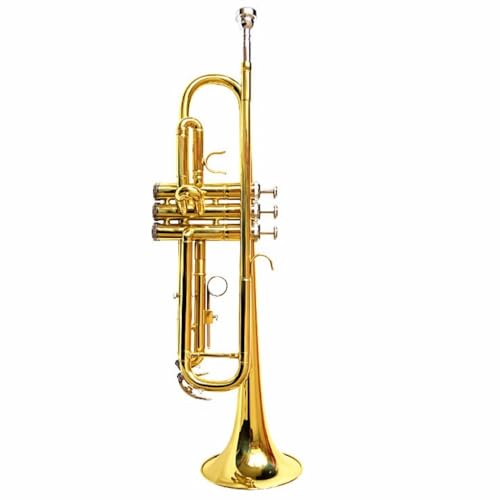 Emidor vdl̃ptH[}Xg{[AAg/oXg{[ABǃgybgAǊyAS҂㋉҂܂Ŏgp\ALOP[XtAyʁAϋvAƂTEhAuXohAI[PXgAWYohART[gATC