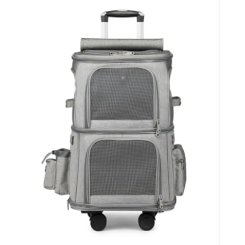 bN L 2C LX^[t ^  2C Kisigim lR  g[obO e ʋC s/ʉ@/ʋ@/ЊQp O[ LX^[t (O[)