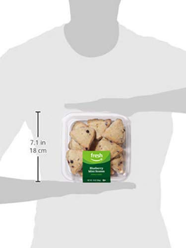 Fresh Brand – Blueberry Mini Scones, 10 oz