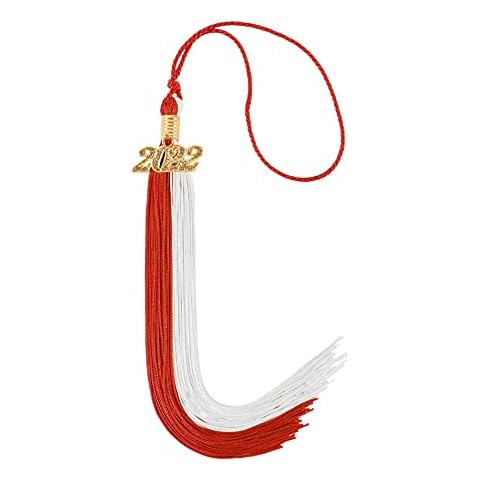Double Colour Graduation Tassel with Year Charm Cover