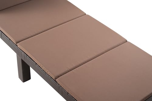 Lot 2 Chaises Longues Pliables Rotin, Réglables sinlikon