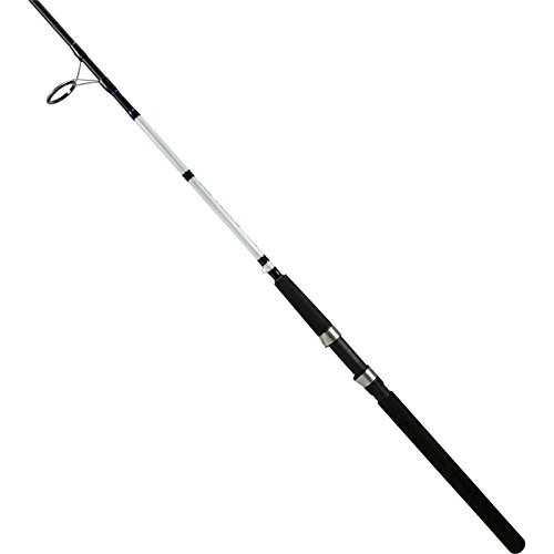Can You Surf Fish With An 8 Ft Rod? Can You Surf Fish With An 8 Ft Rod? Expert Tips &Amp; Techniques