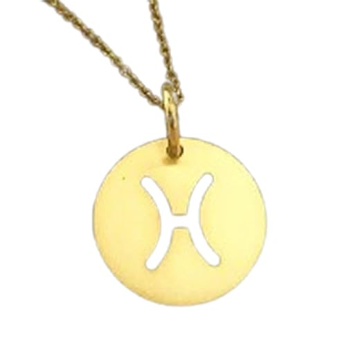 Collier en argent sterling 925 avec sa breloque délicate à offrir en symbole