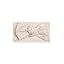 Arbor Floral / Powder + Shell