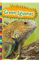 Green Iguanas (Lizards) 1625883110 Book Cover