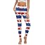 Star and Stripes Print, Blue Red White