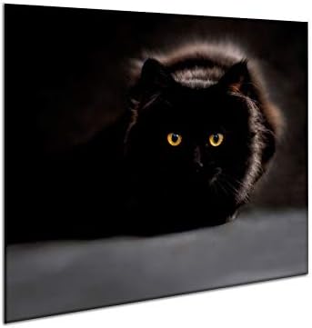 Ceramic Induction Hob Protector Cover 60 x 52 cm | Glass Kitchen Splashback | Chopping Board | Worktop Saver Cat Panel | by semUp