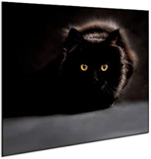 Ceramic Induction Hob Protector Cover 60 x 52 cm | Glass Kitchen Splashback | Chopping Board | Worktop Saver Cat Panel | by semUp