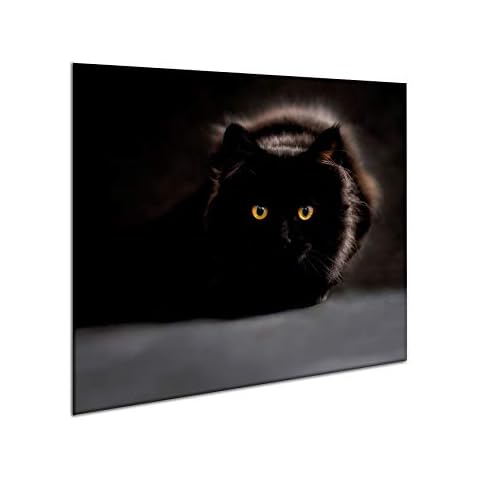 Ceramic Induction Hob Protector Cover 60 x 52 cm | Glass Kitchen Splashback | Chopping Board | Worktop Saver Cat Panel | by semUp Cover