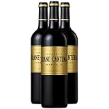 Château Brane-Cantenac Margaux - Rouge 2019 - Vin Rouge de Bordeaux (3x75cl)