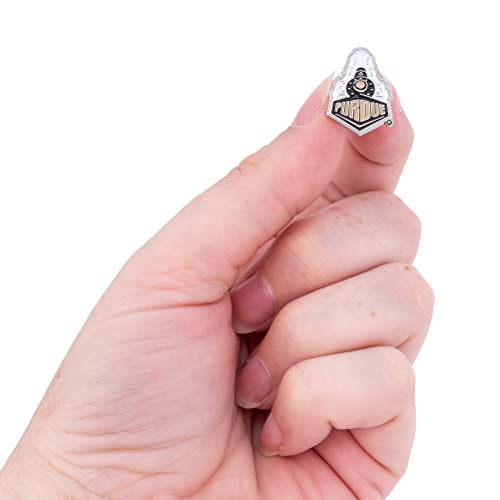 Image of Desert Cactus Purdue University Lapel Pin PUR Boilermakers Made of Metal for Formal Wear, Bag and Hat Jewelry, and Tie Tack