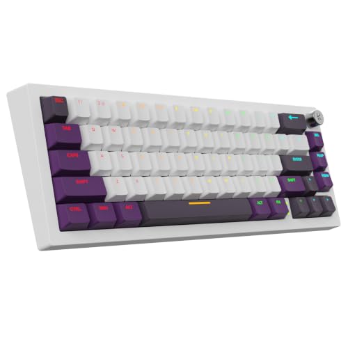 Image of Kreo Swarm 65 Wireless Mechanical Gaming Keyboard 65% Gasket Mounted, Pre-Lubed Switches, 5-Layer Sound Dampening, RGB, Hot-Swap PCB, Tri-Mode - Windows & macOS (Starling Linear)