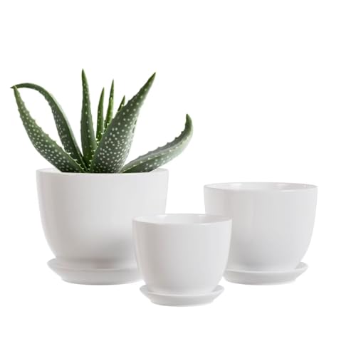 White Ceramic Plant Pots,Set of 3 Indoor Flower Pot with Saucers Small to Medium Sized Planters for Plants,Round Modern Garden Pots(White)