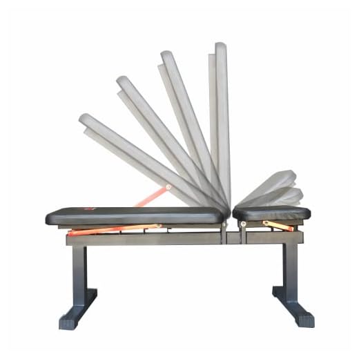 Banco Regulável Livre 5 Posições Para Exercícios Academia