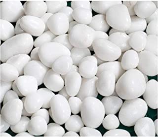 SRI SHANMUGA Stone Art Decorative Medium Size Polished Marble Stone Pebbles for Plant Pots Vase Fillers Aquarium Home Decor Garden Decoration (Snow White, Dia: 15-25mm, 500 Grams)