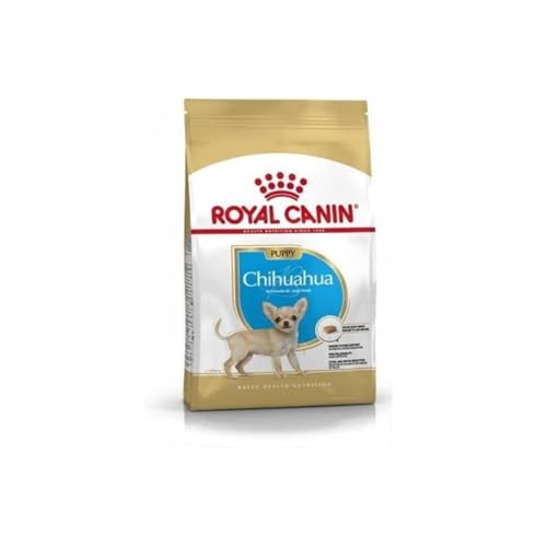 Royal Canin Chihuahua Junior 1,5 kg, 1er Pack (1 x 1.5 kg)