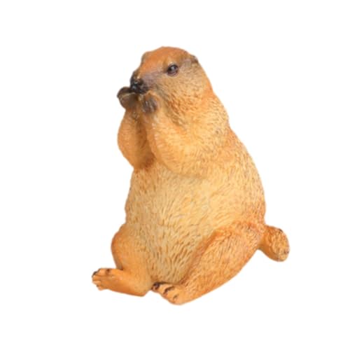 QUILSTM Figurines de marmottes de qualité supérieure, répliques réalistes, Ensemble de Statues d'animaux, Jouets décoratifs d'exposition, Figurines...