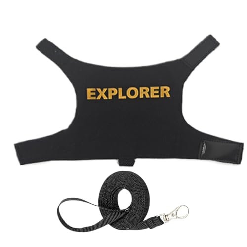 フトアゴヒゲトカゲ用ハーネス - フトアゴヒゲトカゲベスト、フトアゴヒゲトカゲ用ハーネス, フトアゴヒゲトカゲ小動物用牽引ロープ, 爬虫類リスのための調節可能な快適なウォーキング ベスト アクセサリー - 4.53 インチ