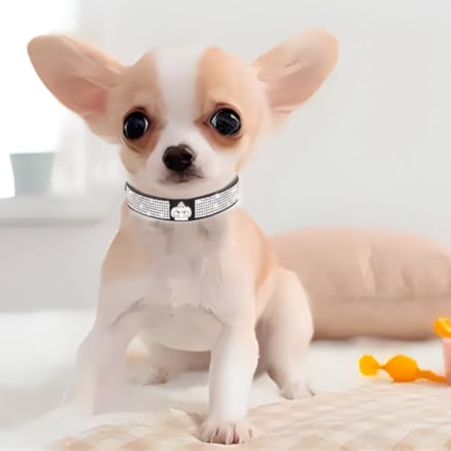 Collar de perro con diamantes para paseos elegantes de mascotas S 3