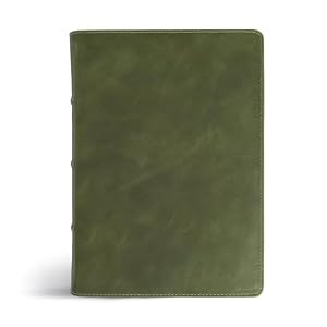 Book cover CSB She Reads Truth Bible, Holman Handcrafted Collection, Olive Premium Calfskin, Black Ltr, Color, Wide Margins, Journaling Space, Devotionals, Reading Plans, Timelines, Charts, Maps, Single-Column