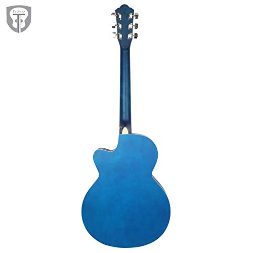 Image of Techno Acoustic Guitar DM-39, Blue color, acoustic guitar for professional, beginner and students