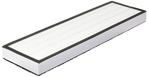 LifeSupplyUSA True HEPA Filter Replacement Compatible with GermGuardian FLT4825 AC4800 Series Filter B Air Purifier (3-Pack)