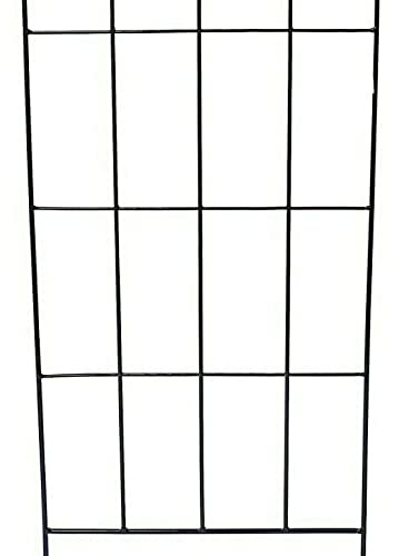 View 6