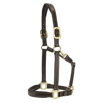 Dover Saddlery Indulge Fancy-Stitched Halter - Oakbark - Horse Size