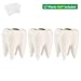 T4U Small Cute Tooth Planter Succulent Pots Teeth Pencil Holder Office Organizer Plant Gift for Dentist Mini White Ceramic Planter Pots for Succulents Herbs Cactus Pack of 3
