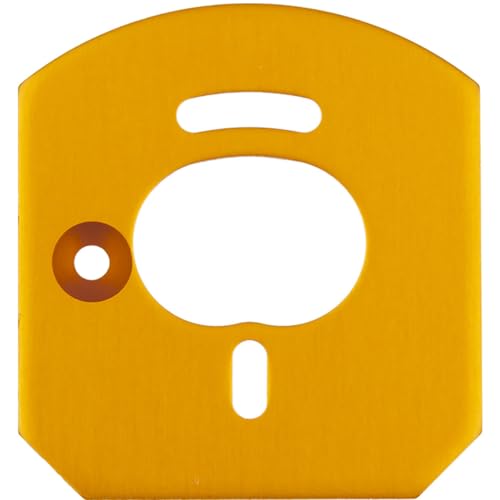 Associated 31953 6x6 Motor Mount Plate Gold