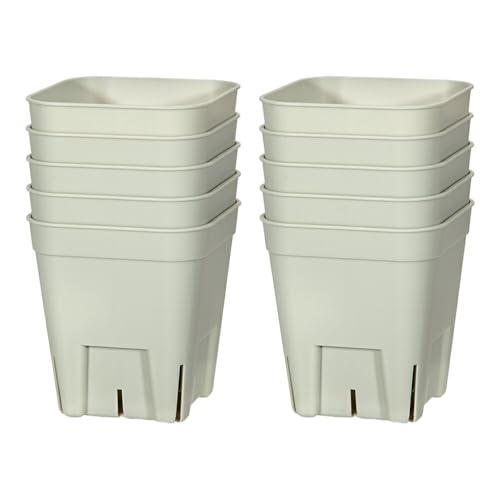 v~AvXe VT^ O[ POZbg