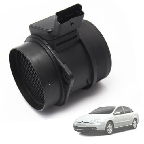 Twowinds - Débitmètre 5WK9628 Compatible avec Citroën C5, C8, Peugeot 406 607 806 807, Fiat Expert Ulysse Phedra - Débimetrè de Masse d´air - Debimetre