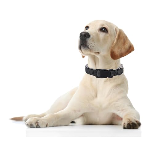 Collar Reflectivo para Perros Ajustable de Nylon y Neopreno miniatura 2