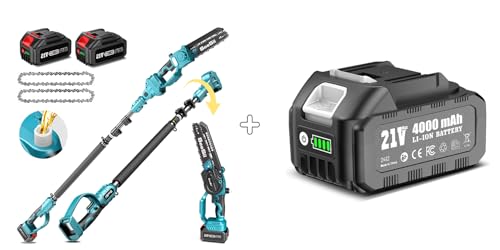 Image of SEESII 2 in 1 Cordless 8 inch Pole Saw & Mini Chainsaw with 3 Batteries