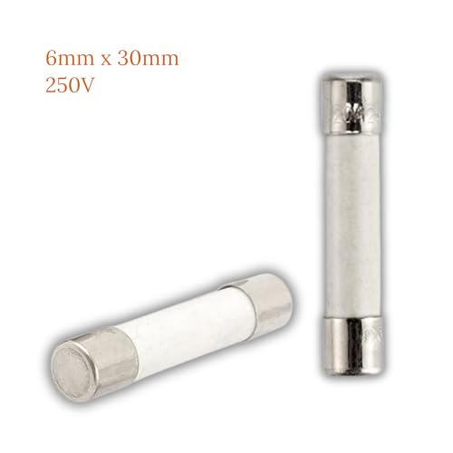 BlueCatELE Microwave Fuse 20 Amp 250V 6x30 mm/0.24x1.2 in(Dia x Len) Slow-Blow Ceramic Fuse 5 PCS Universal Replacement for GE WB27X10388 and Whirlpool Kenmore Other Microwaves