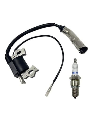 Moryzian 20001042 Ignition Coil