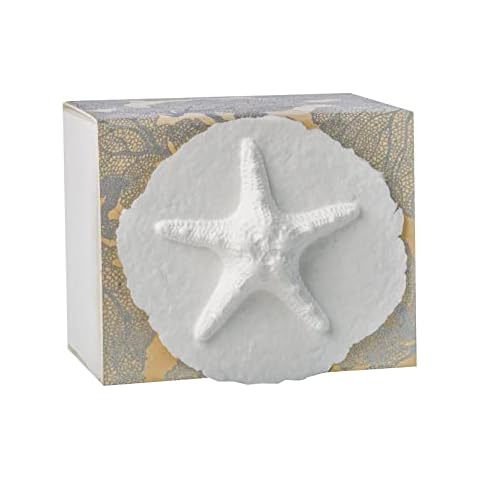 Earth Memorials The Favorite Place® Burial Biodegradable Urn for Human Ashes, (Small Starfish Urn Box), Water Burial Urn, Urn for Cremation, Cremation Urn, (Silver Coral with Starfish) R-219 Cover