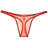 L レッド メンズTバック 【La-PommeHomme/ラポーム・オム】 シースルー 透け 日本製Tバック 下着 ショーツ 通気性 下着 シンプル 男性用