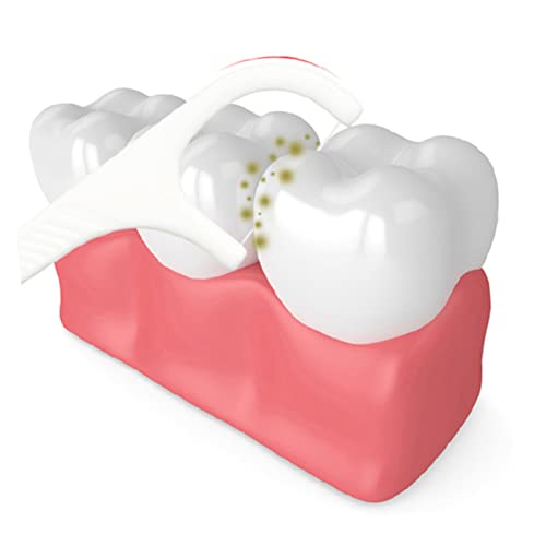 Healeved 1 Conjunto De Suspensórios De Fio Dental Para Fio Dental De Viagem Fio Dental Para Adultos