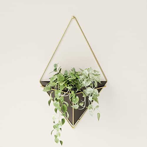 Umbra Trigg Hanging Planter Vase & Geometric Wall Decor Ceramic Container - Great For Succulent Plants, Air Plant, Mini Cactus, Faux Plants And More, Large, Black/Brass #TOP1
