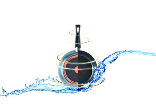 Frigideira Francesa, Rochedo 9295304423, Cinza