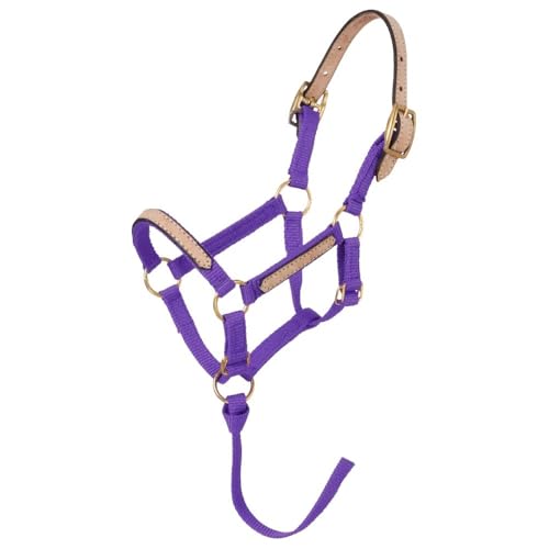 Tough1 Miniature Nylon Breakaway Halter - Purple - Large